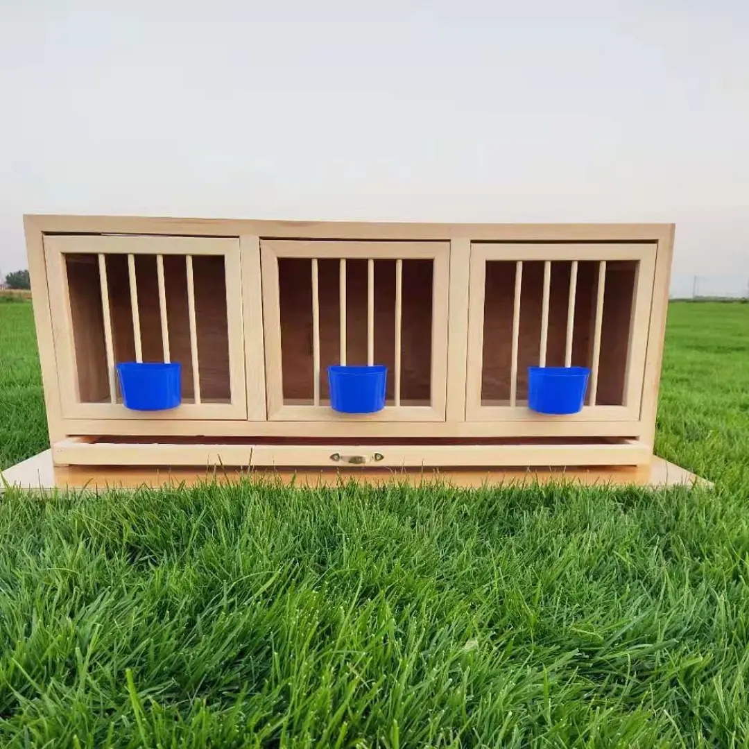 竹木松木全防水赛飞巢箱实木鸽子笼二门三门实用设计鸽具