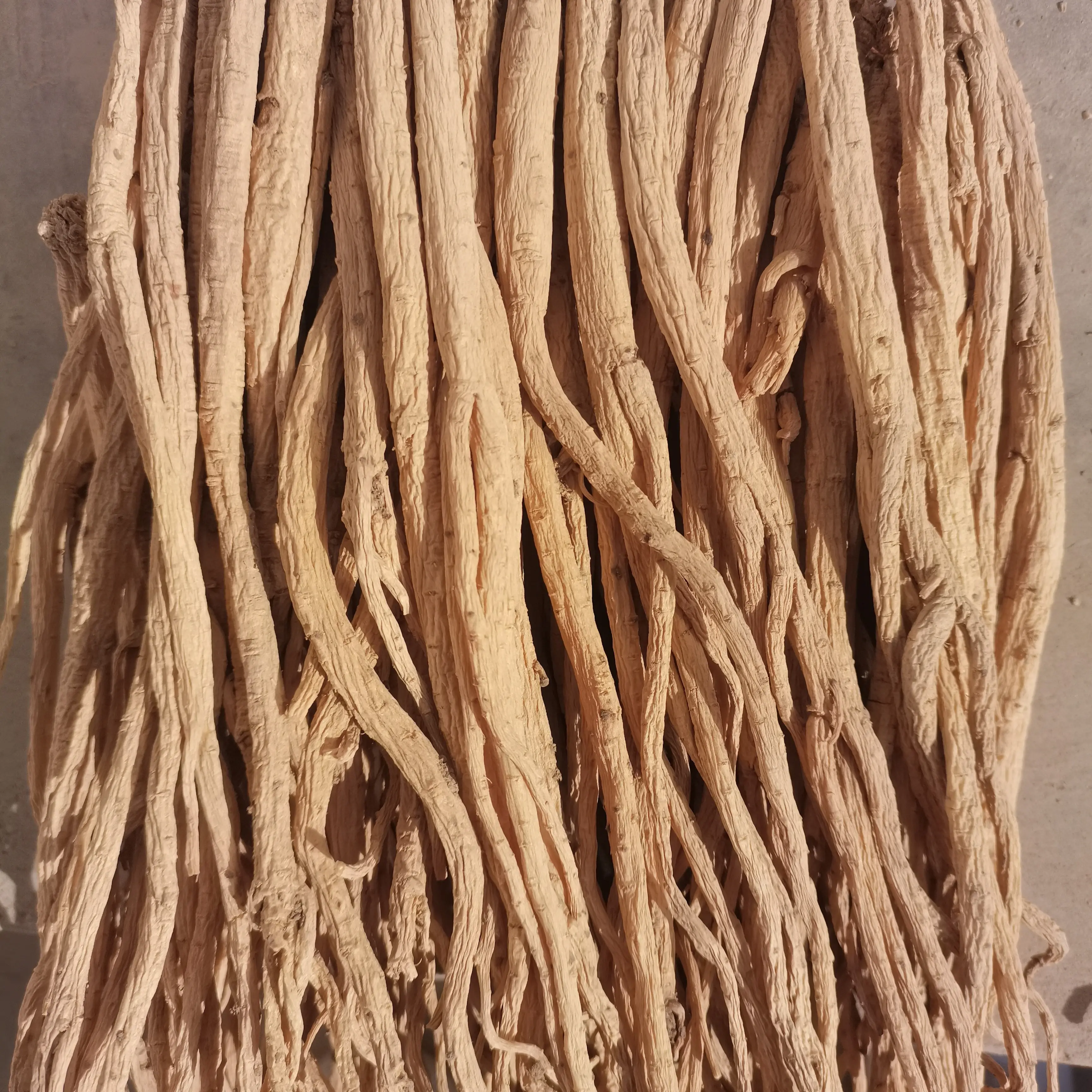 甘肃定西临洮白条党参原产地直发（无硫八成干特大条）自然晾晒