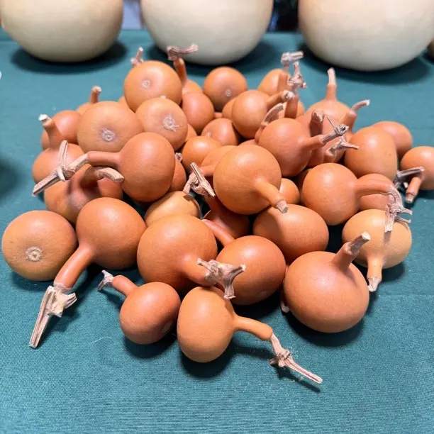 福利款随机十把老皮独把葫芦