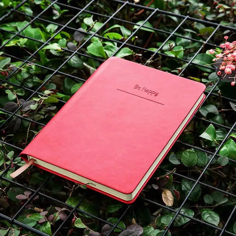 笔记本，直播间专用2号链接，10-50