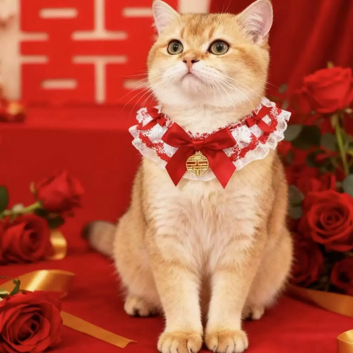 宠物装饰猫咪狗狗围脖红色口水巾