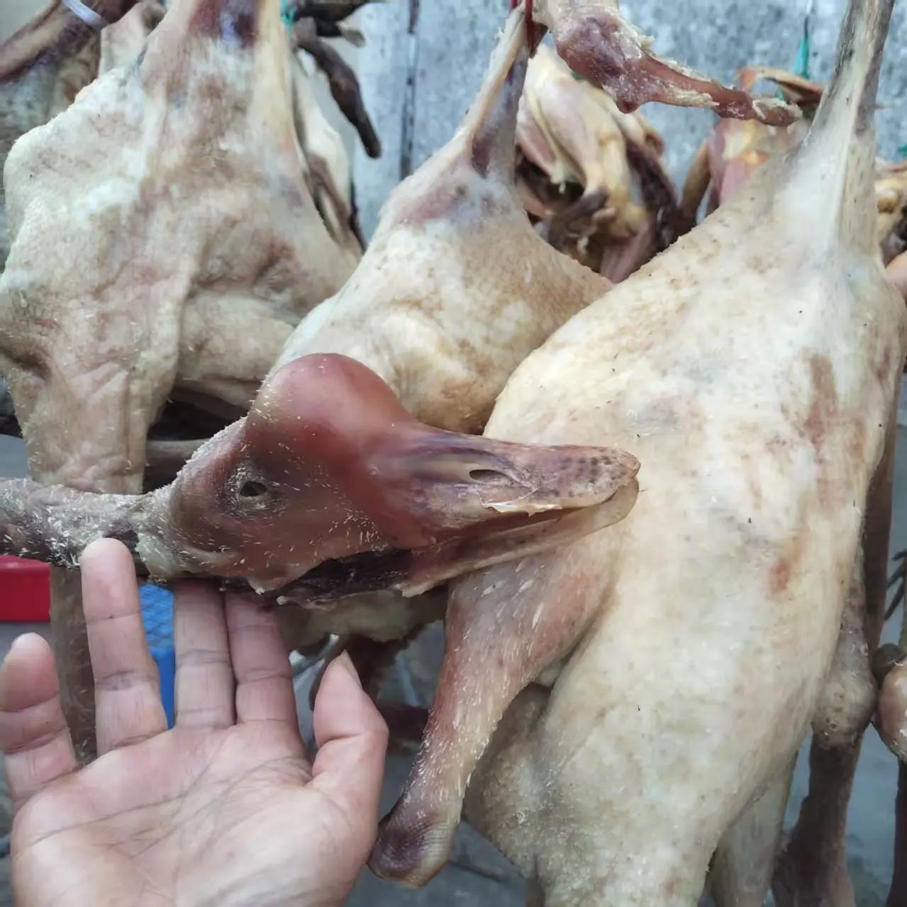 【二荣农场】农家散养鹅风干紧实咸鹅安徽整只腌制自然晾晒