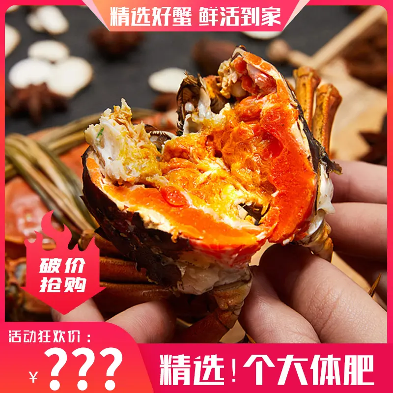 【活蟹】6.0-5.7两公+5.0-4.7两母 买8只送2只10只装大闸蟹