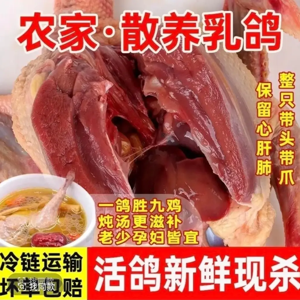 农家散养土鸽子新鲜现杀带内脏顺丰冷链发货