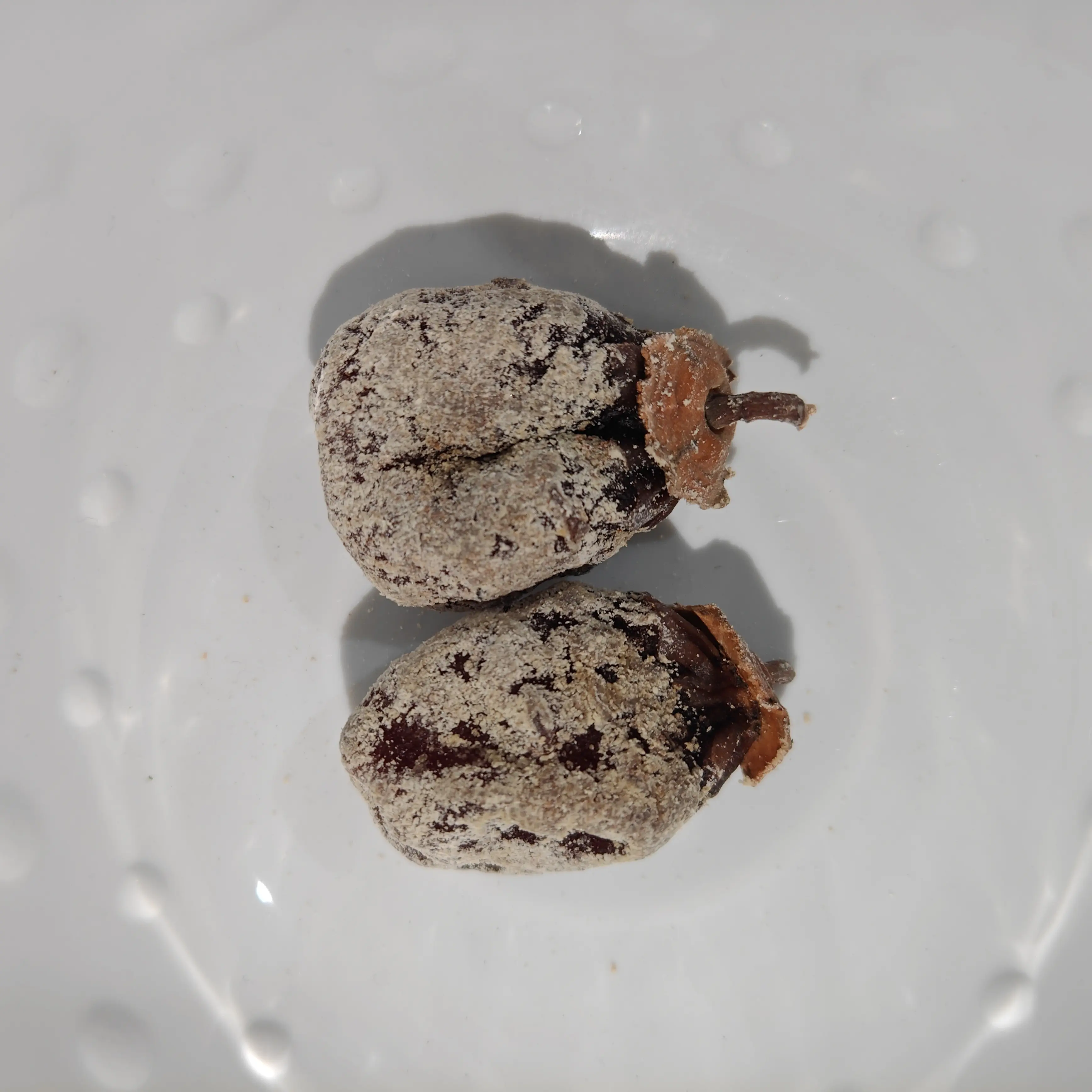 段村小柿饼农家老树柿饼白霜软糯自然晾晒传统风味