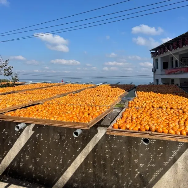 高山野生野品种干柿饼