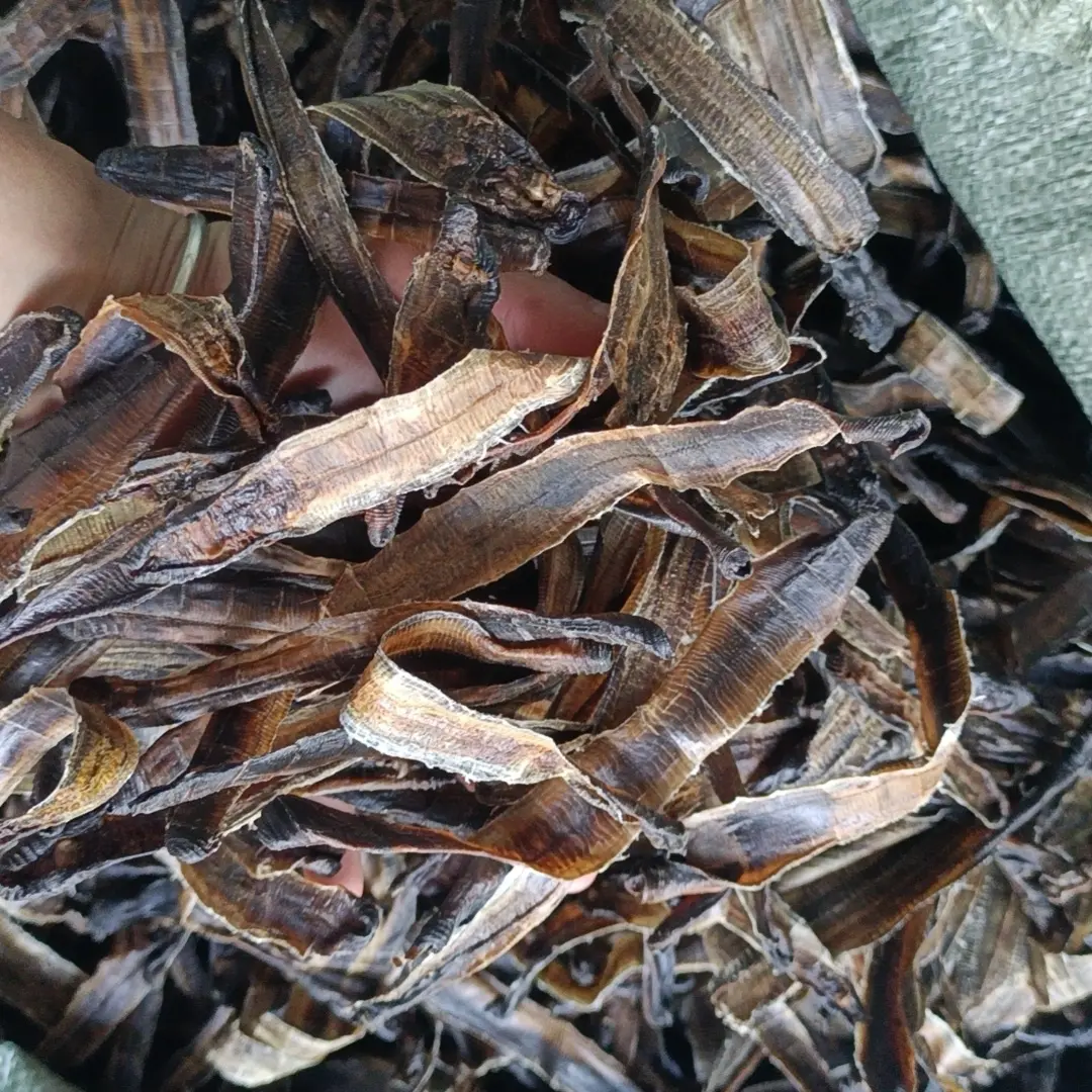 干蚯蚓，腥味浓鱼饵饵料