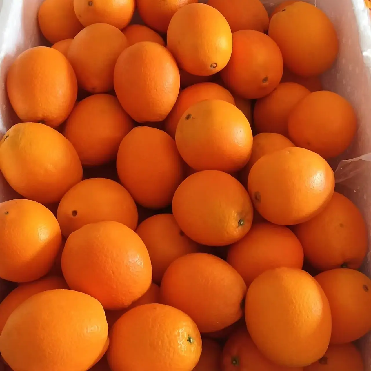 赣南脐橙皮薄多汁小果