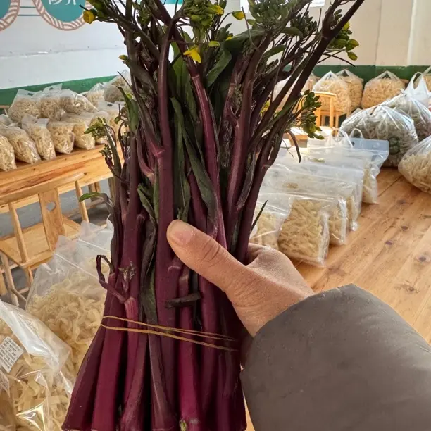 湖北红菜苔农户现摘新鲜蔬菜露天种植锁鲜打冰发货
