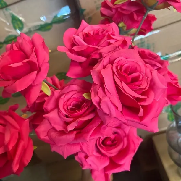 带香味好养易开的三头玫瑰