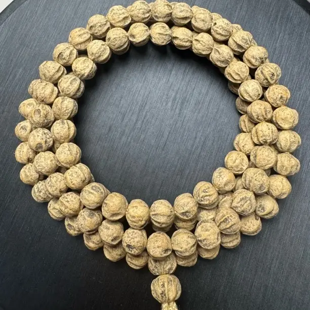 热振原桩高油高密圆球原装龙脊百香籽