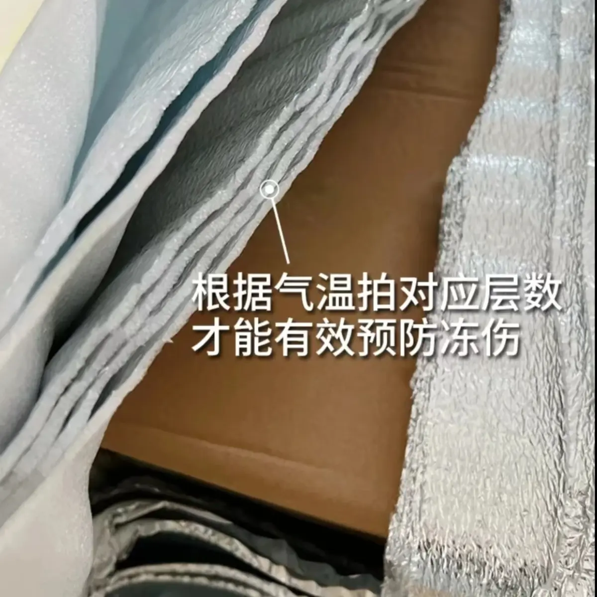 【保温棉】0°及以下必拍防止鲜花冻伤 不参与快递凑单