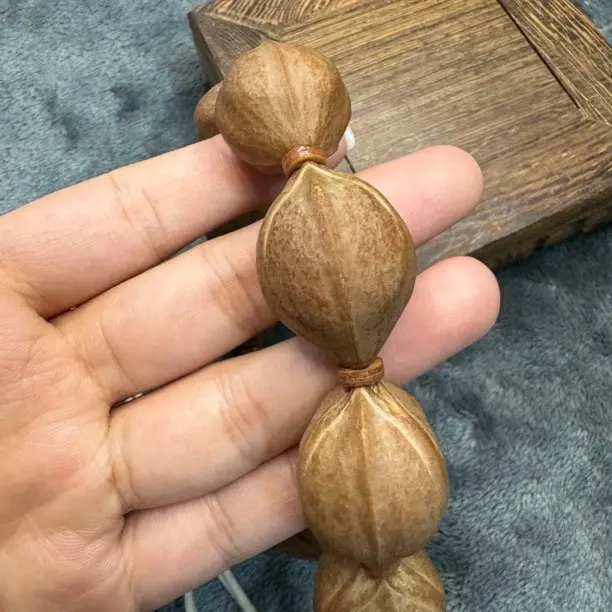 [抵用券]梅林铁核三花鲨鱼背