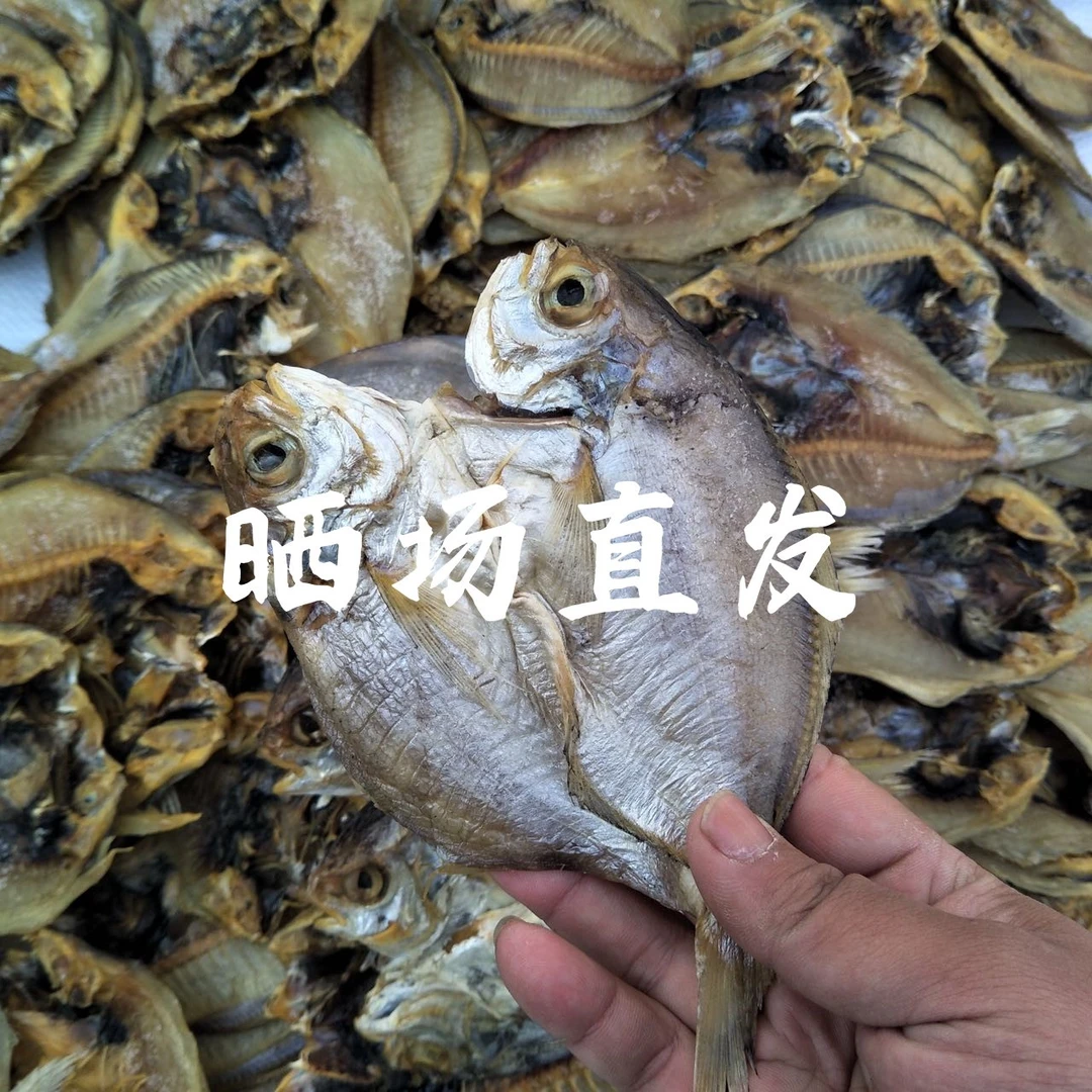 淡晒开背肉鲳鲞舟山特产200g/包