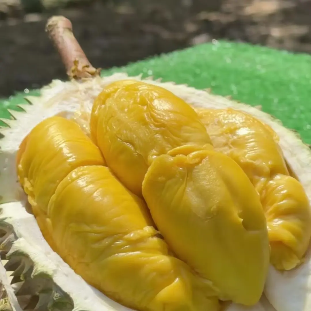 猫山王榴莲马来西亚