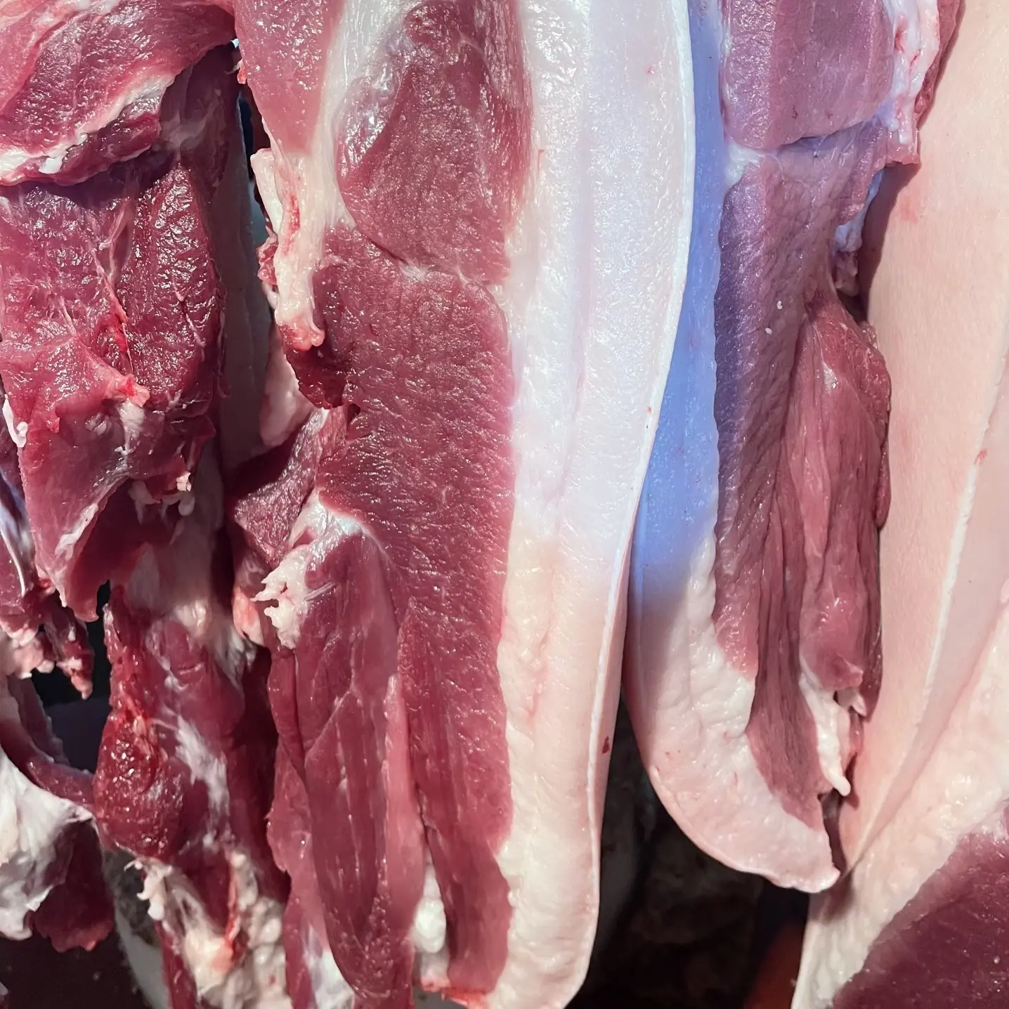 正宗散养土猪肉现场称重101-130