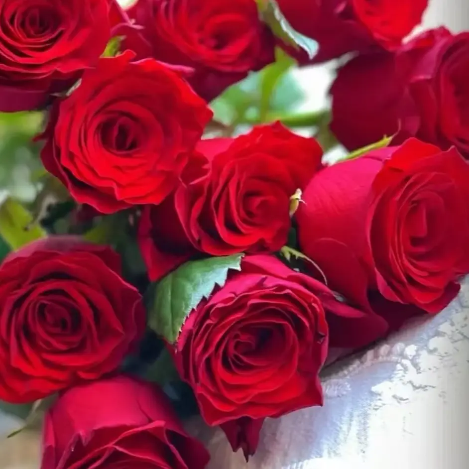 红玫瑰花鲜花云南基地直发适合客厅装饰的花束