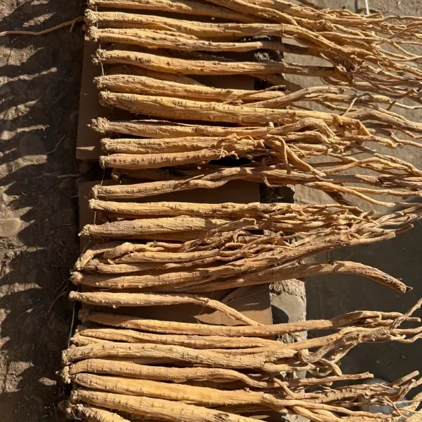 甘肃岷县党参（干货大条）无熏硫煲汤炖鸡滋补养生食材原产地