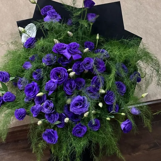 芦荀草高端软装花材客厅装饰水培鲜切云南基地直发