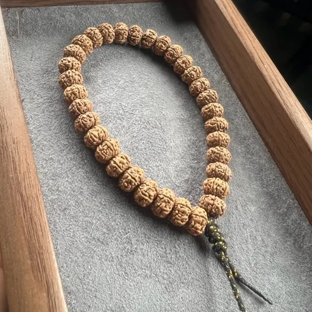 菩提小金刚六班树王手持