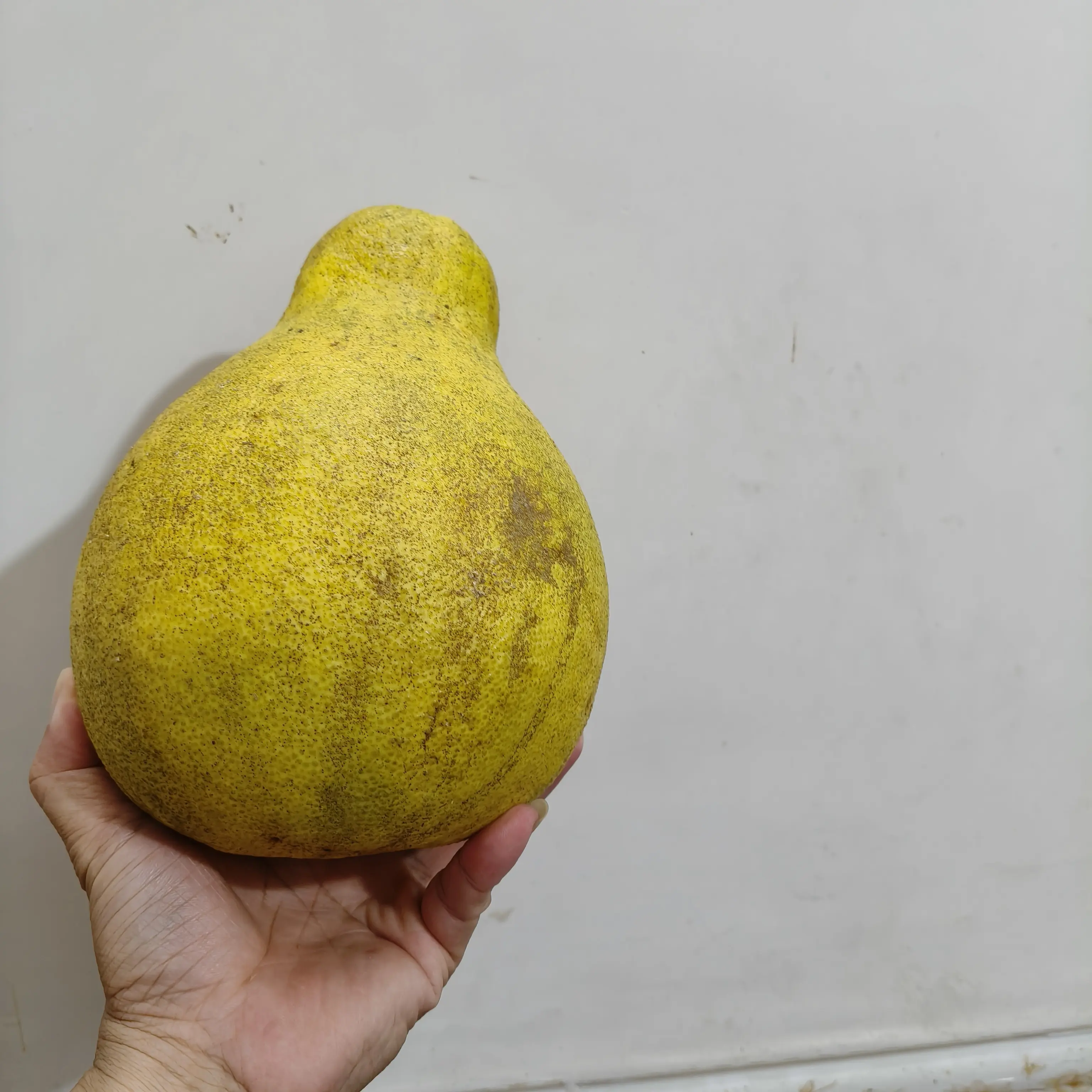 年货必备梅州梅县松口沙田柚（花皮果50斤）