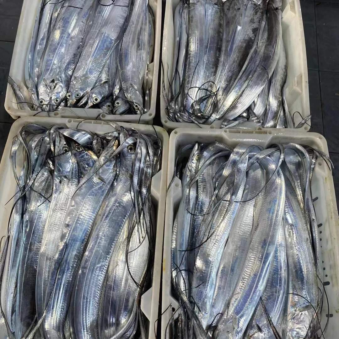 新鲜纯野生油带鱼6两-1斤/条 大号野生深海带鱼 顺丰冷链油带鱼