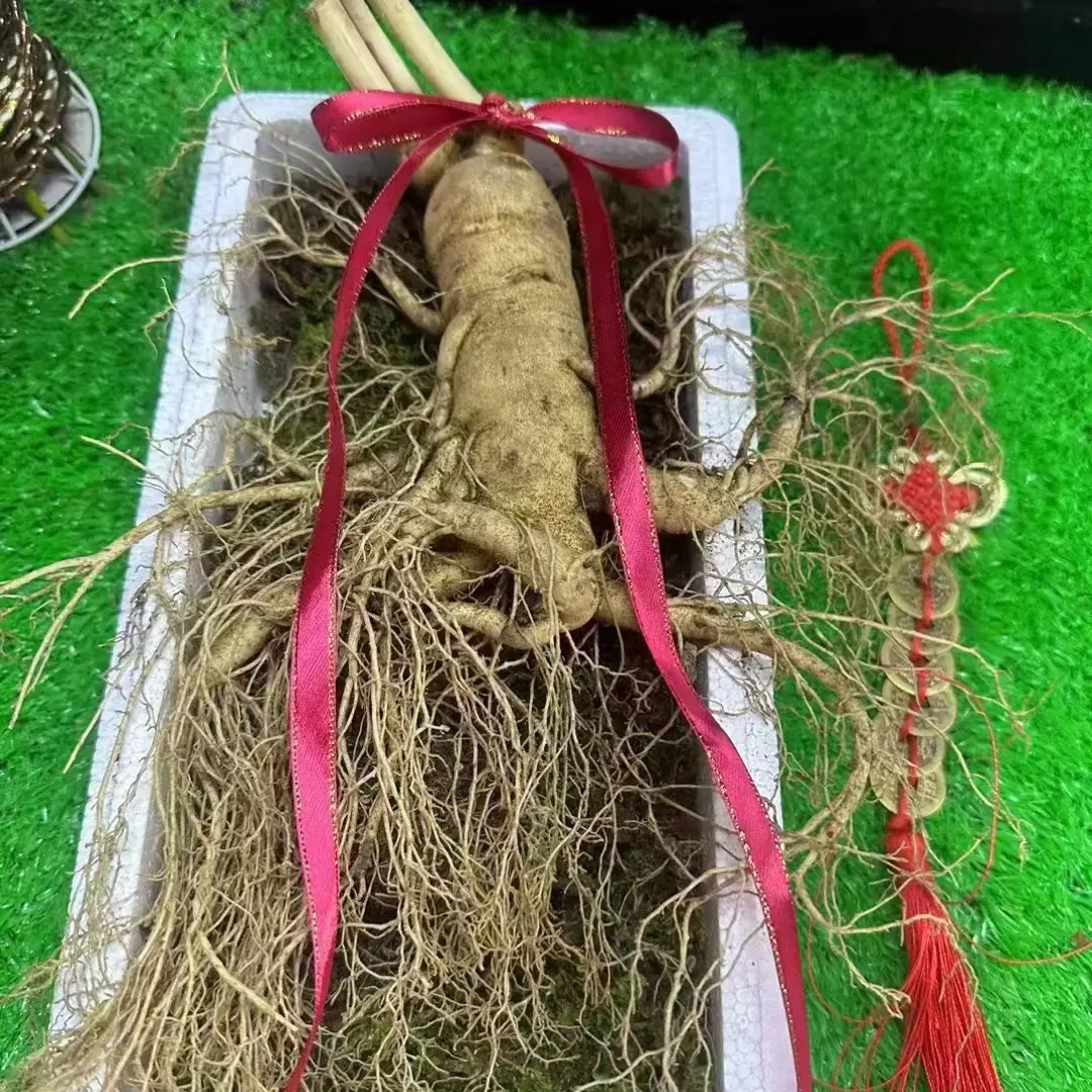 年夜饭鸡汤专用参寓意（一生大吉大利）礼盒装