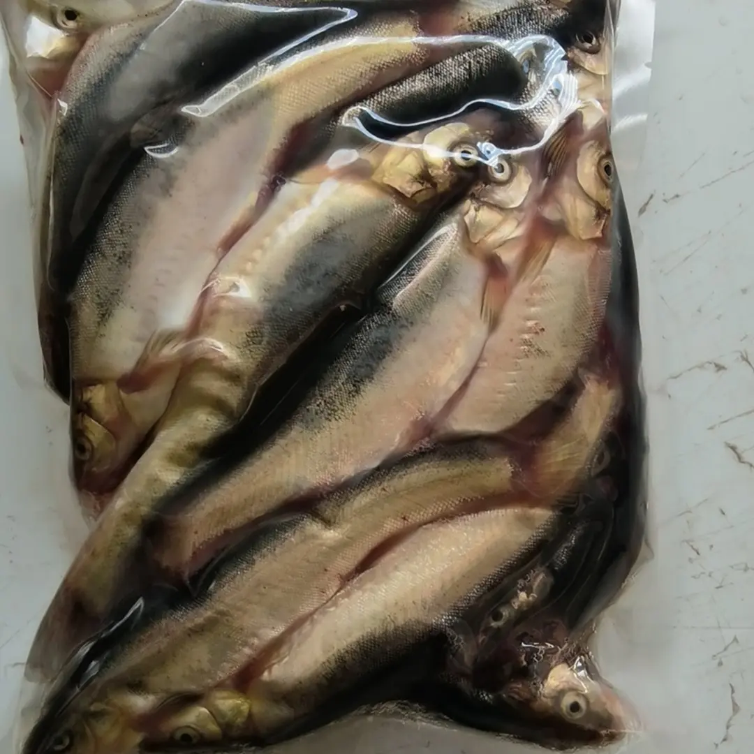 东北特产冷水柳根鱼顺丰速冻发货肉质鲜美 10条左右一斤 2斤一袋