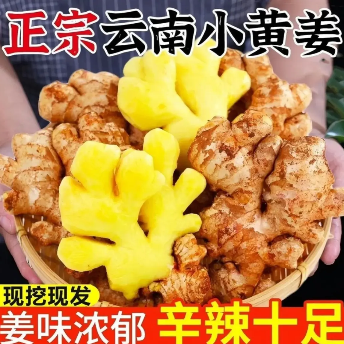 【现挖现发】正宗云南小黄姜新鲜现挖新姜月子姜生姜应季辛辣十足