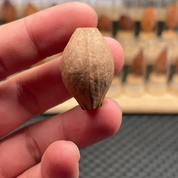 老料水晶油核橄榄核文玩纯手工核雕