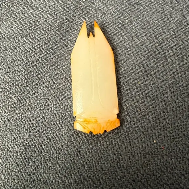 白玉八道蝉非常漂亮