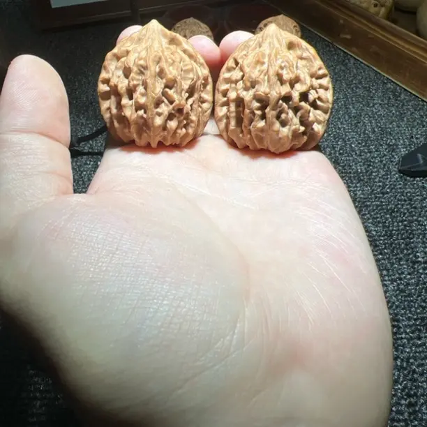 全品龙门涧主筋居中