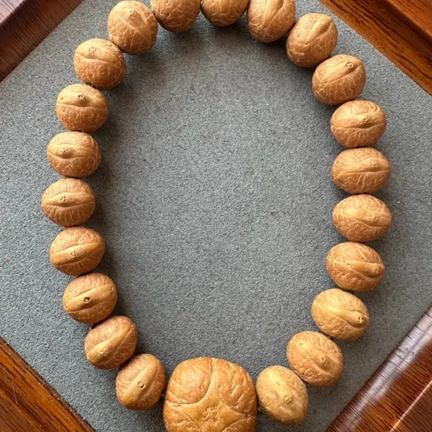 81# 二茬实心籽 尺寸11.5-12.0 大眼萌 矮桩 桩型漂亮 21+4颗