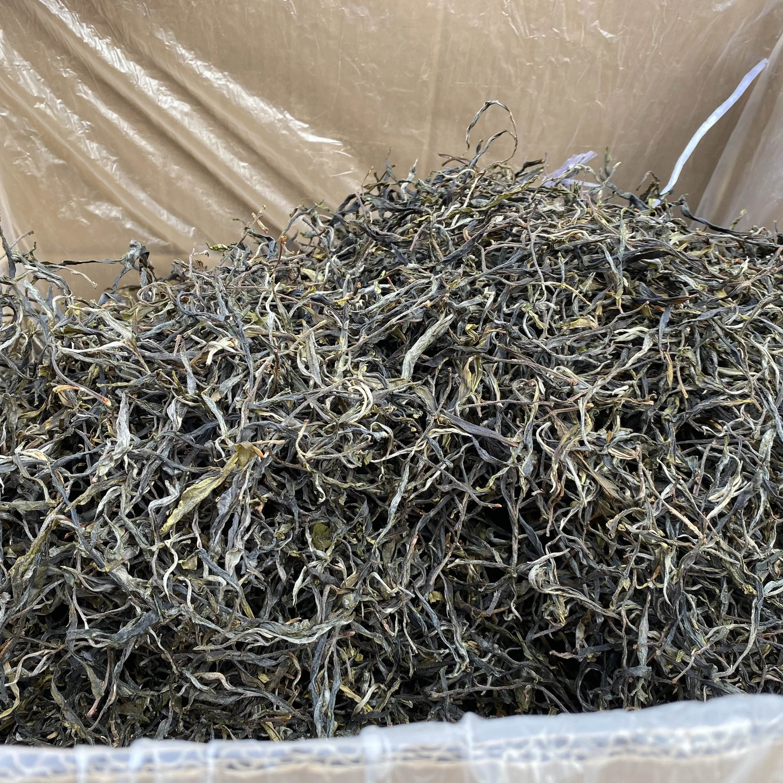 沧源怕拍2025年春茶古树大单株100g散料