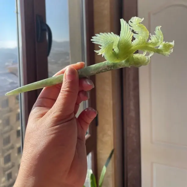 岫玉～凤戏牡丹发簪。绿色料子，料子细腻温润，雕刻立体灵动飘逸。