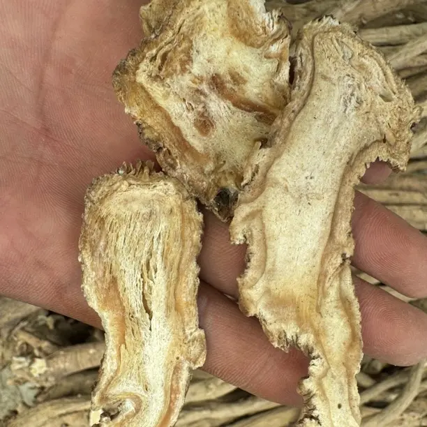 精选甘肃岷县无硫当归全片大片中药材切片