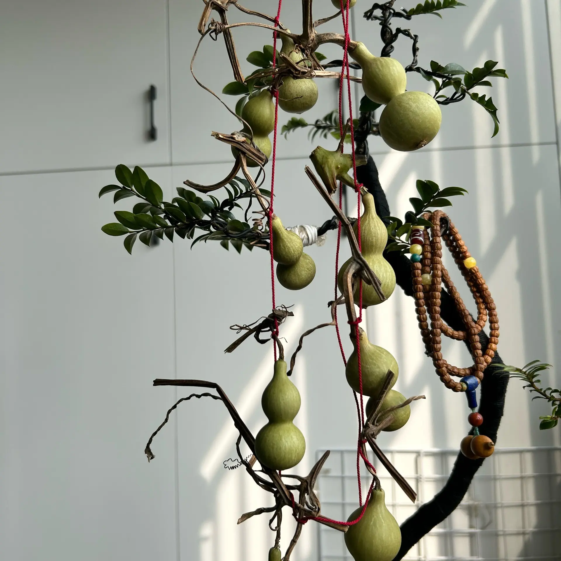 直播间葫芦29.8链接请备注数字