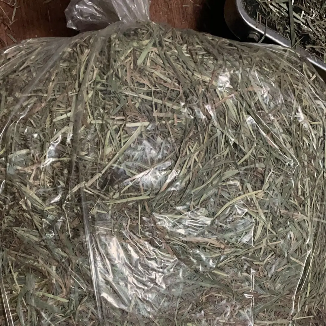新草晒干提摩西草兔子龙猫猪磨牙主食干草