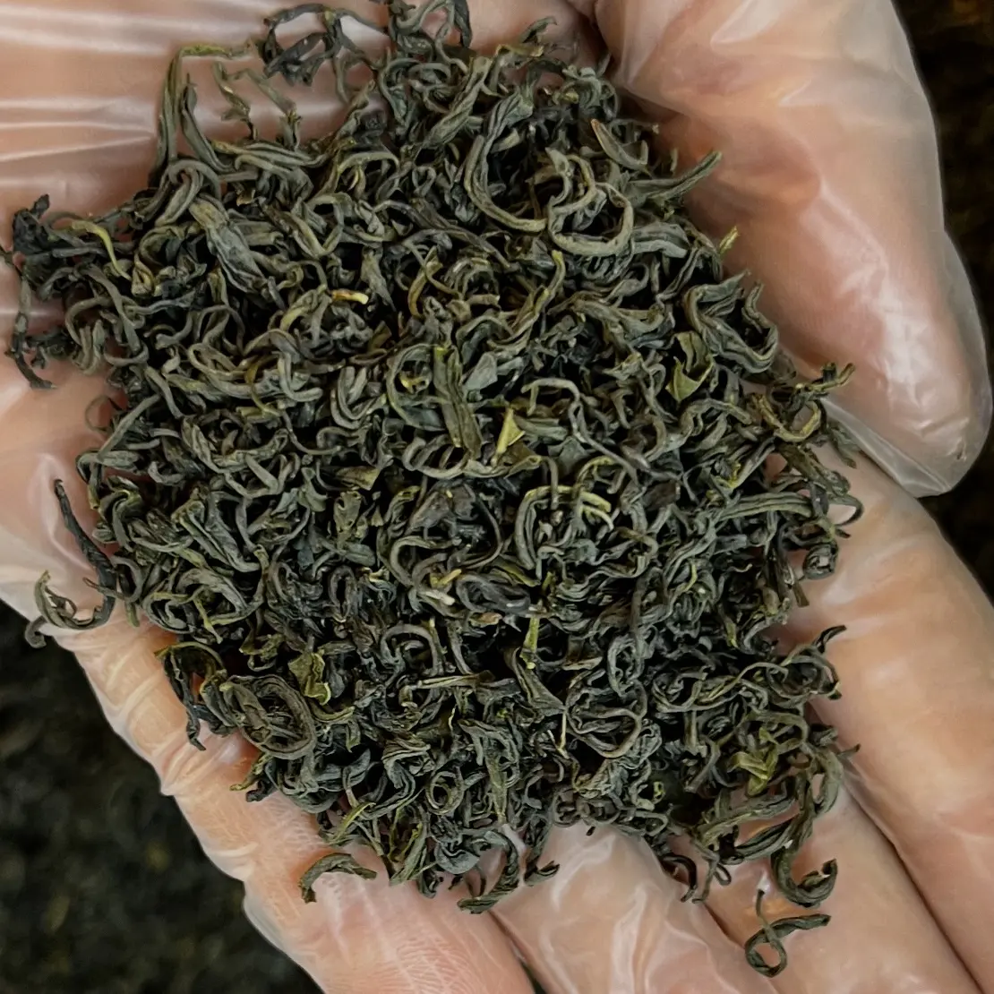 新茶绿茶松阳香茶炒青鲜嫩浓香型好茶