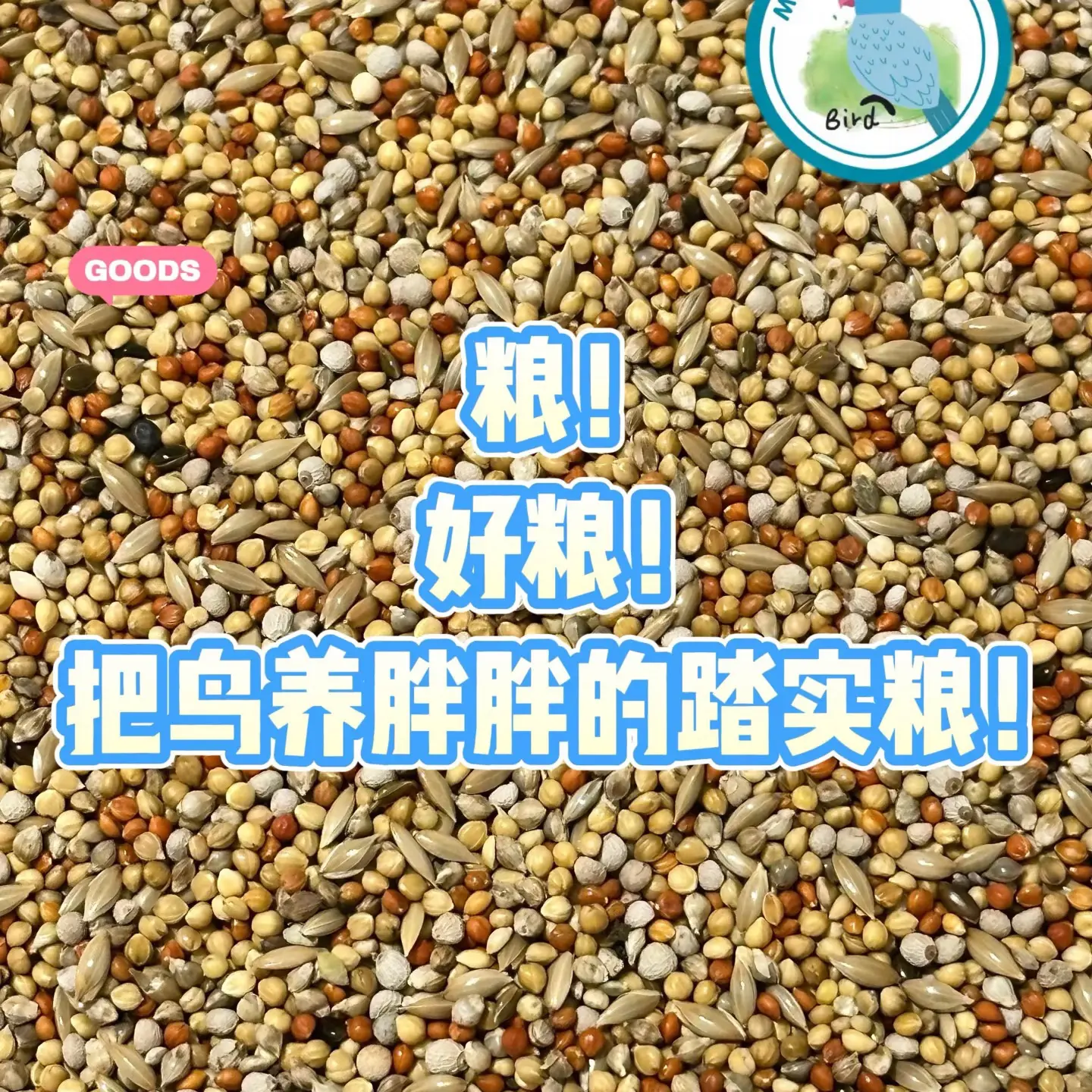 鹦鹉专用混合鸟粮含谷子黍子新鲜营养均衡
