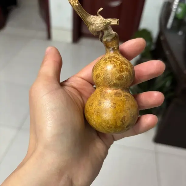 瓷皮厚皮小八宝异形文玩葫芦用