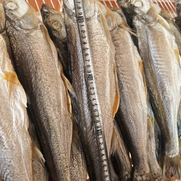 【大白条】2斤潢川正宗农家特产