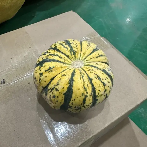 陕北农家老品种糖瓜