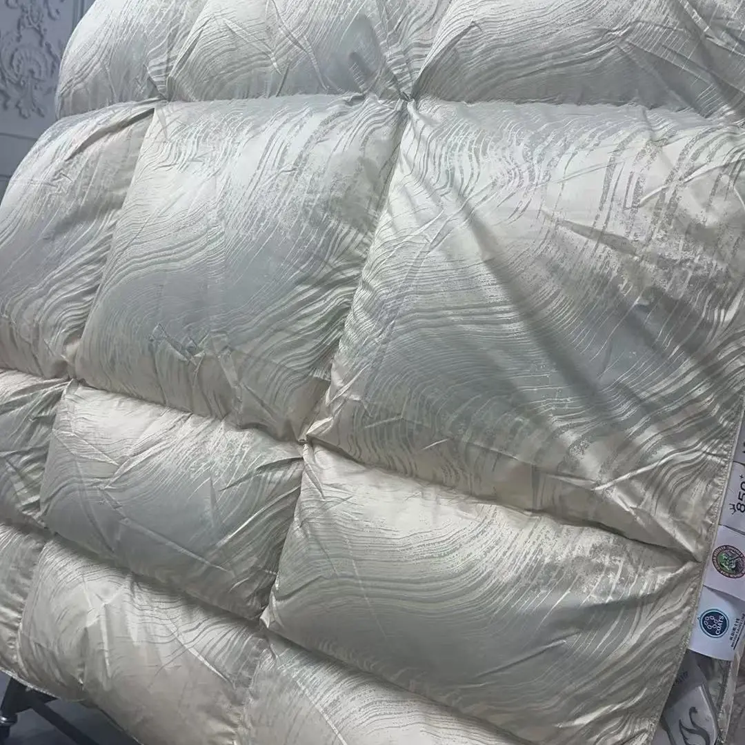 羽绒被加厚保暖冬被立体提花被芯秋冬款