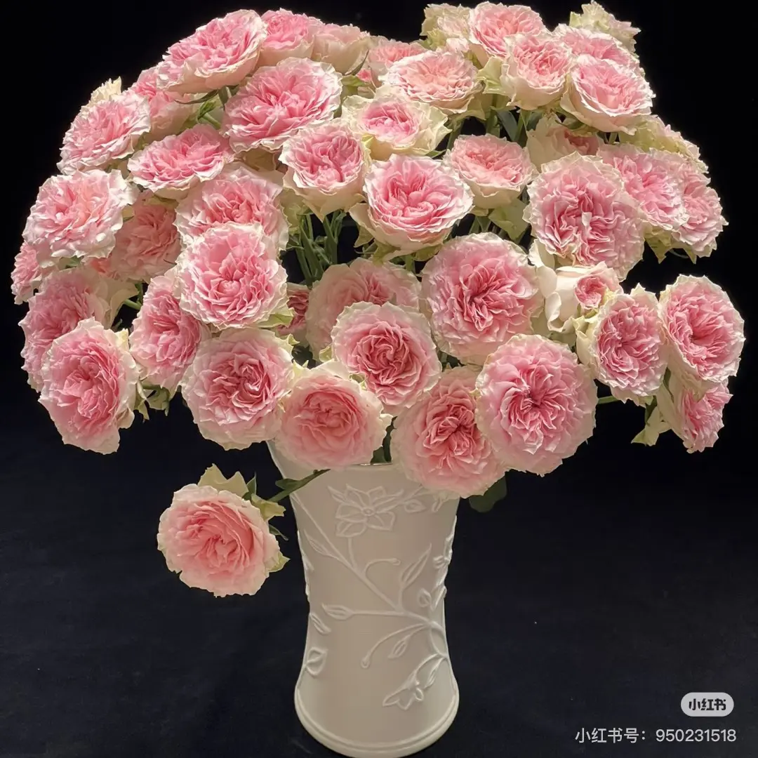 (20把起发)情迷罗拉多头玫瑰(批发商花店工作室婚庆拿货)
