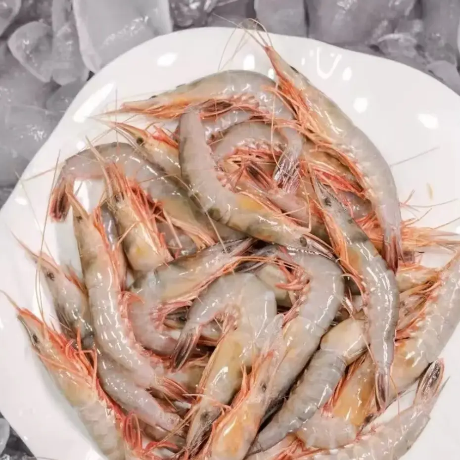 东海野生海捕滑皮虾1500g