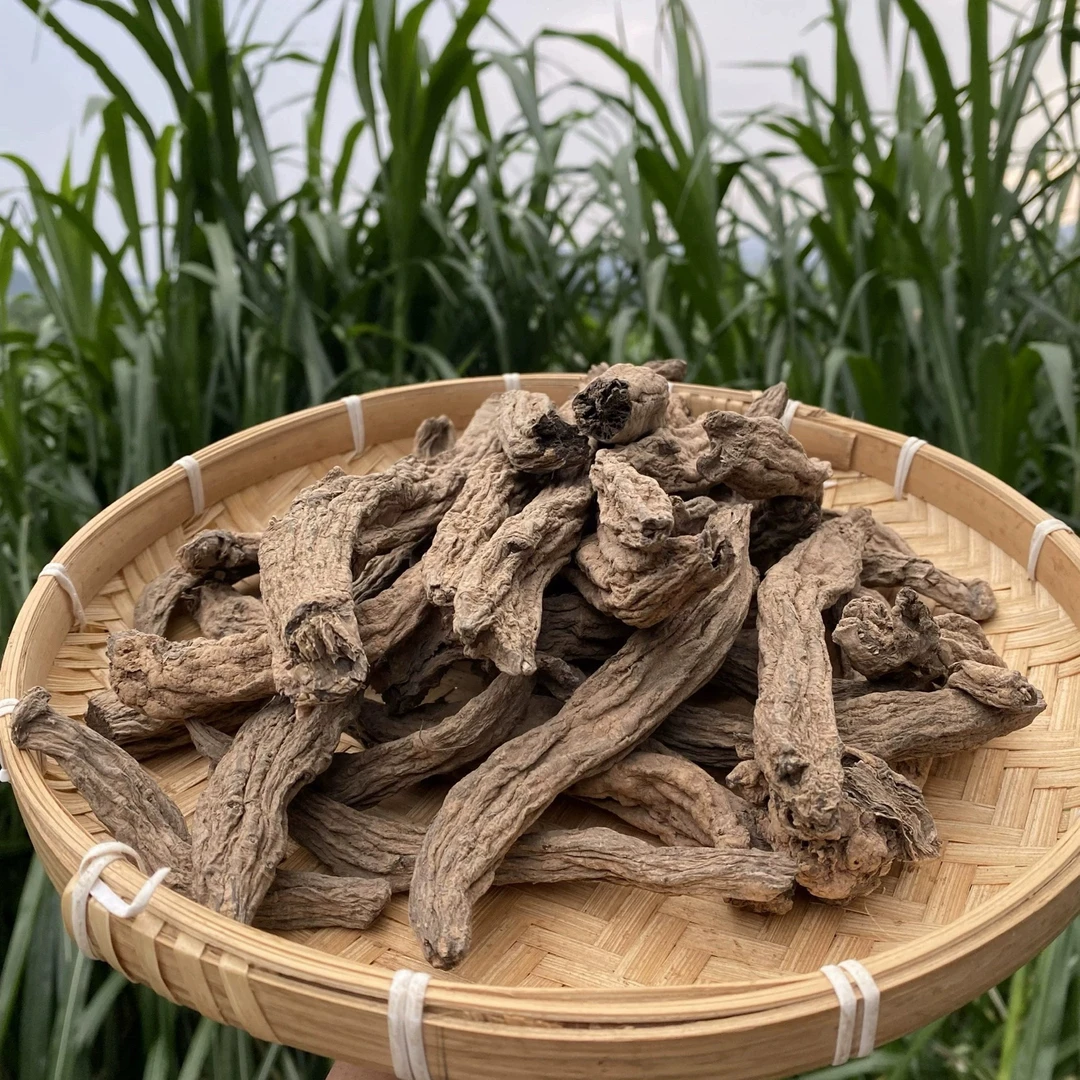 精选好货【乌金参】500克      土豆专属1