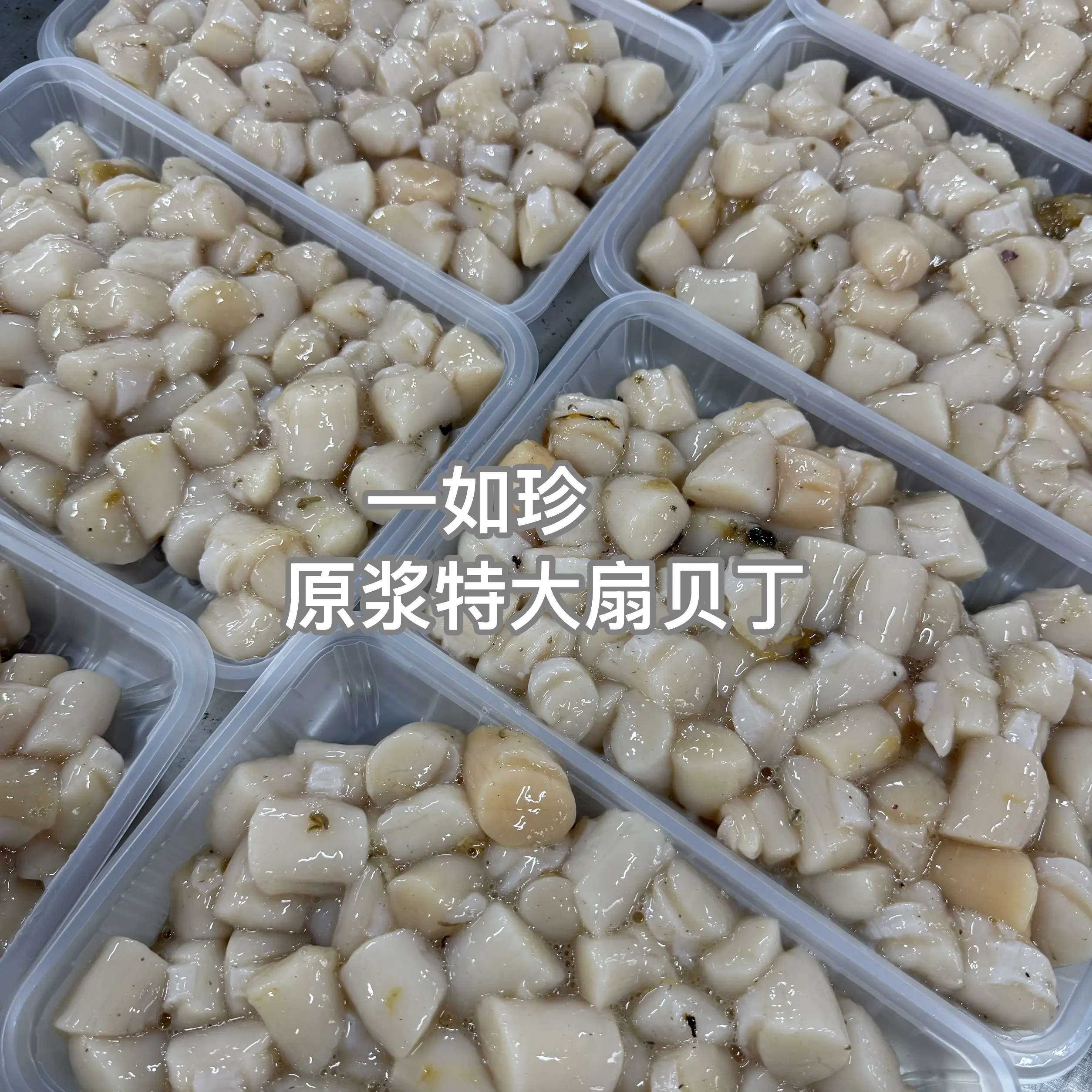 大连本地原浆特大扇贝丁60-65粒/斤3斤