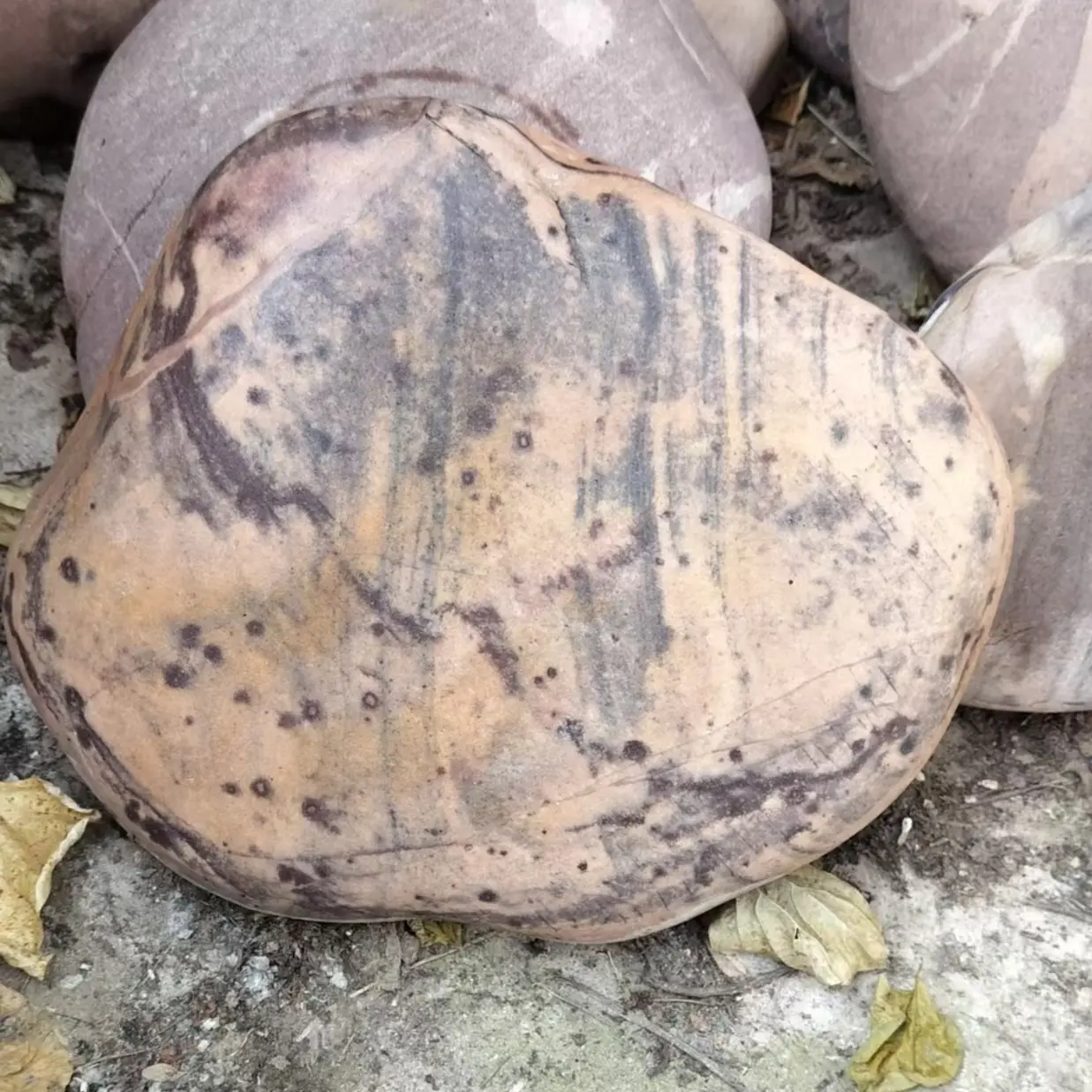 黄河石原石—洛阳奇石景观石，直播间拍下的为准