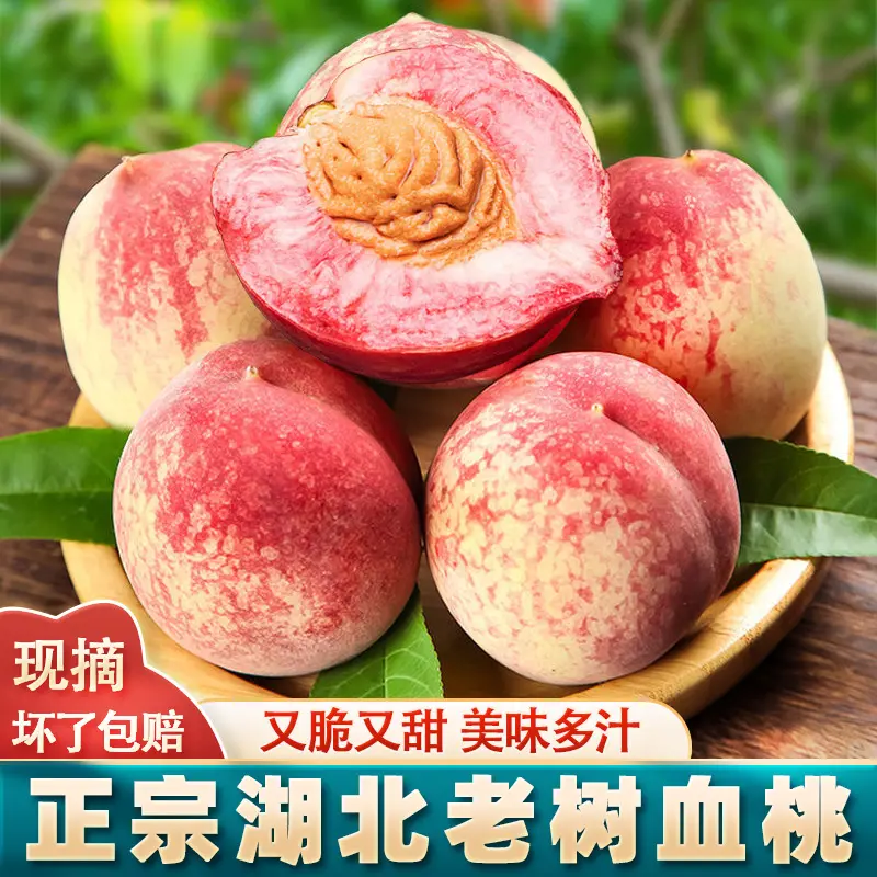 正宗湖北老树血桃胭脂红脆桃结桃百花桃红肉脆桃现摘孕妇应季水果